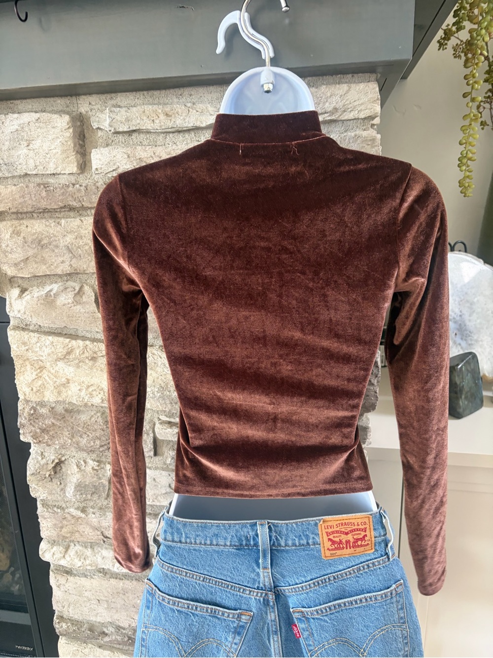 Brown Velvet Drawstring Mock Neck Long Sleeve Top - Picture 3 of 3